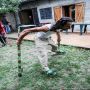 20130907_16-08-19_IMG_2119